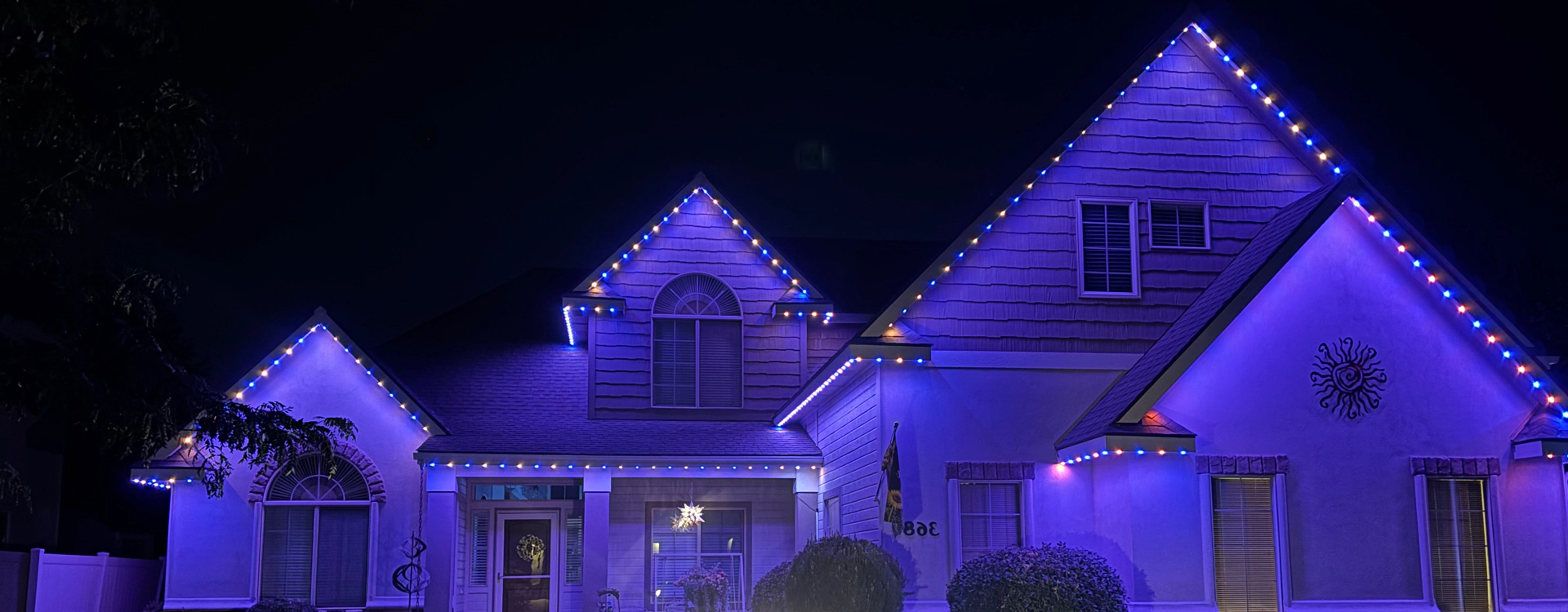 Jellyfish Lighting (2)